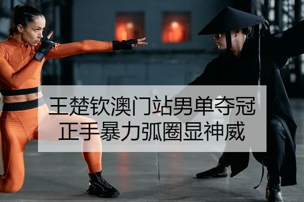 wang-chu-qin-ao-men-zhan-nan-dan-duo-guan-zheng-shou-bao-li-hu-quan-xian-shen-wei-2-846.jpg